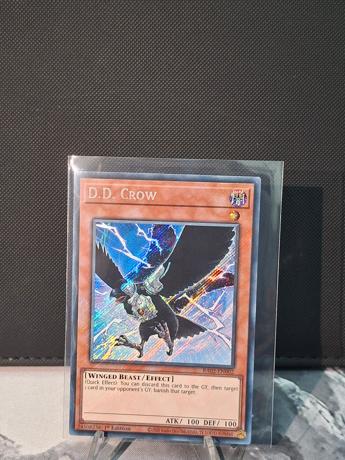 D.D. Crow front view