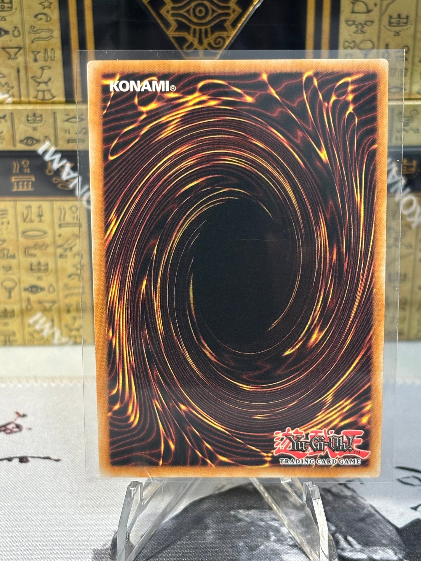 Purrely Noir back view