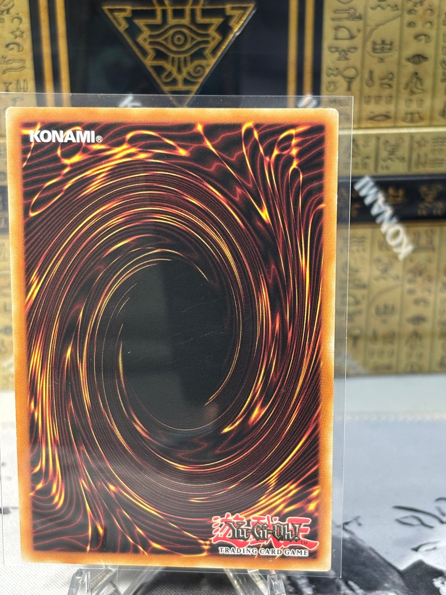 Trishula, Dragon of the Ice Barrier back view