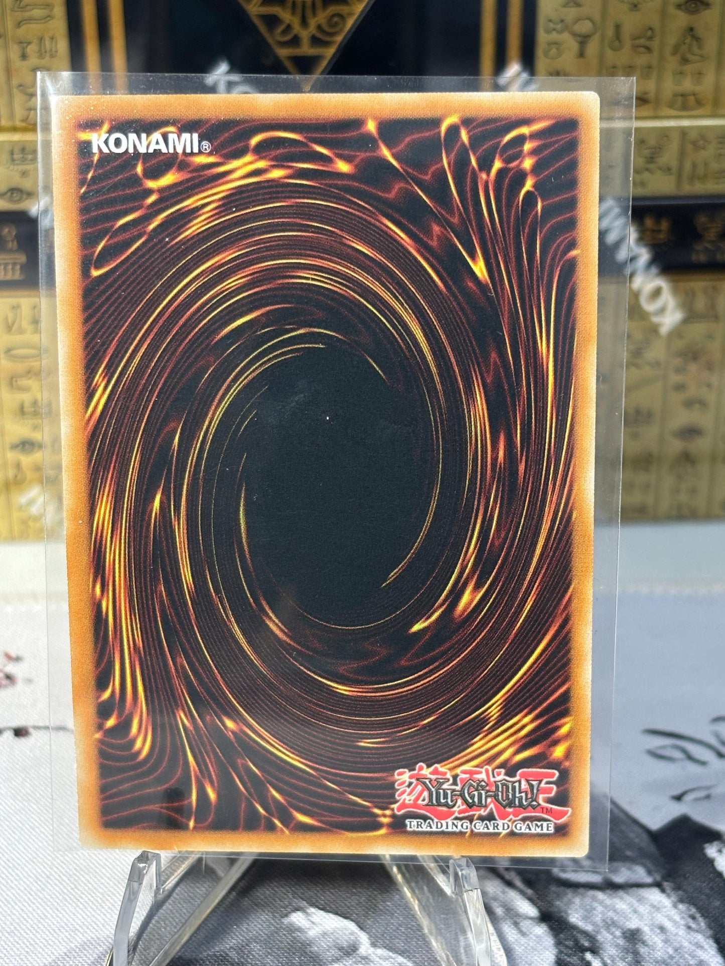 Ukiyoe-P.U.N.K. Amazing Dragon back view