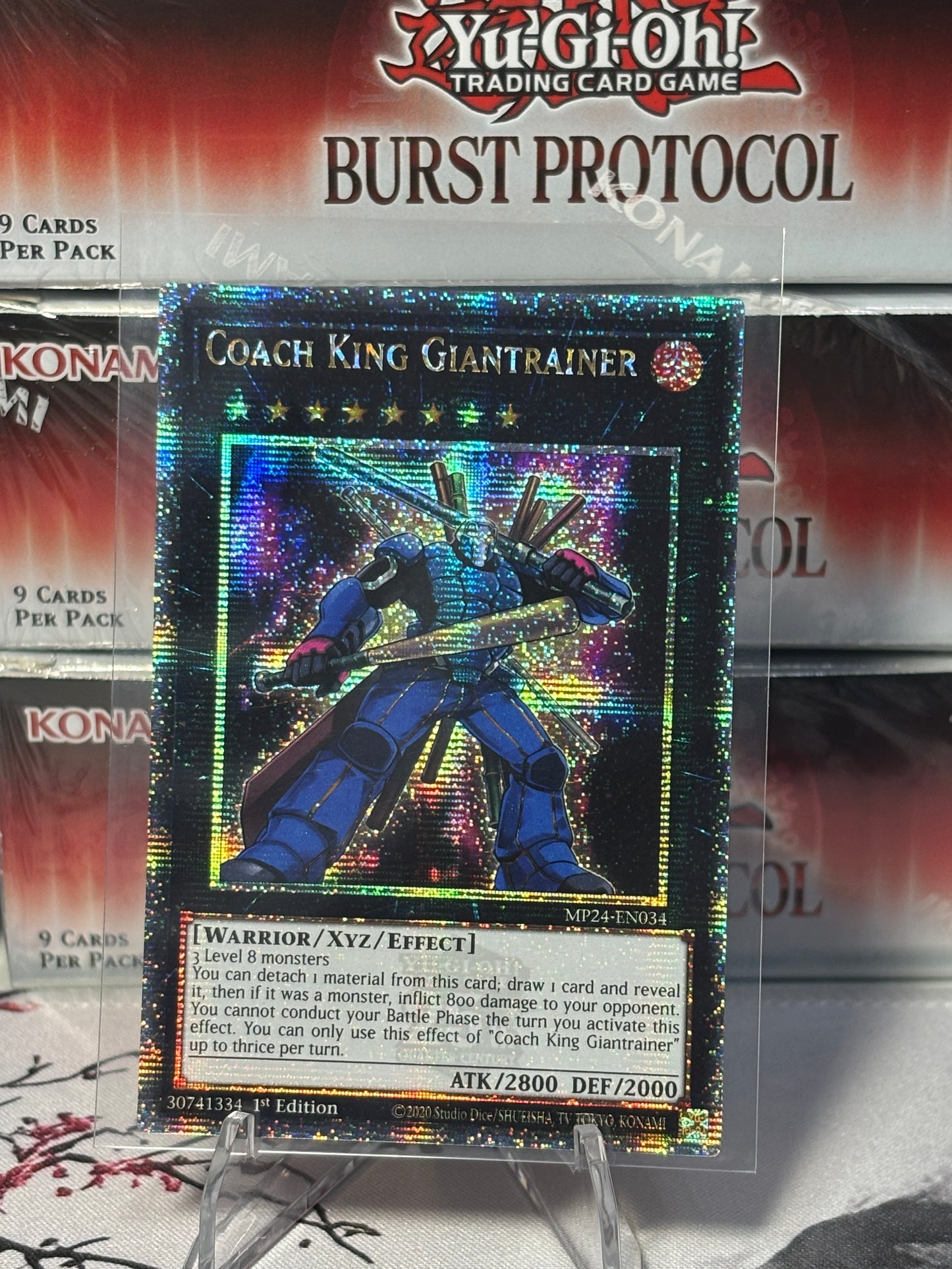 Coach King Giantrainer front view