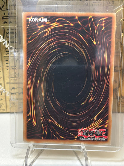 Kashtira Birth - MP23-EN200