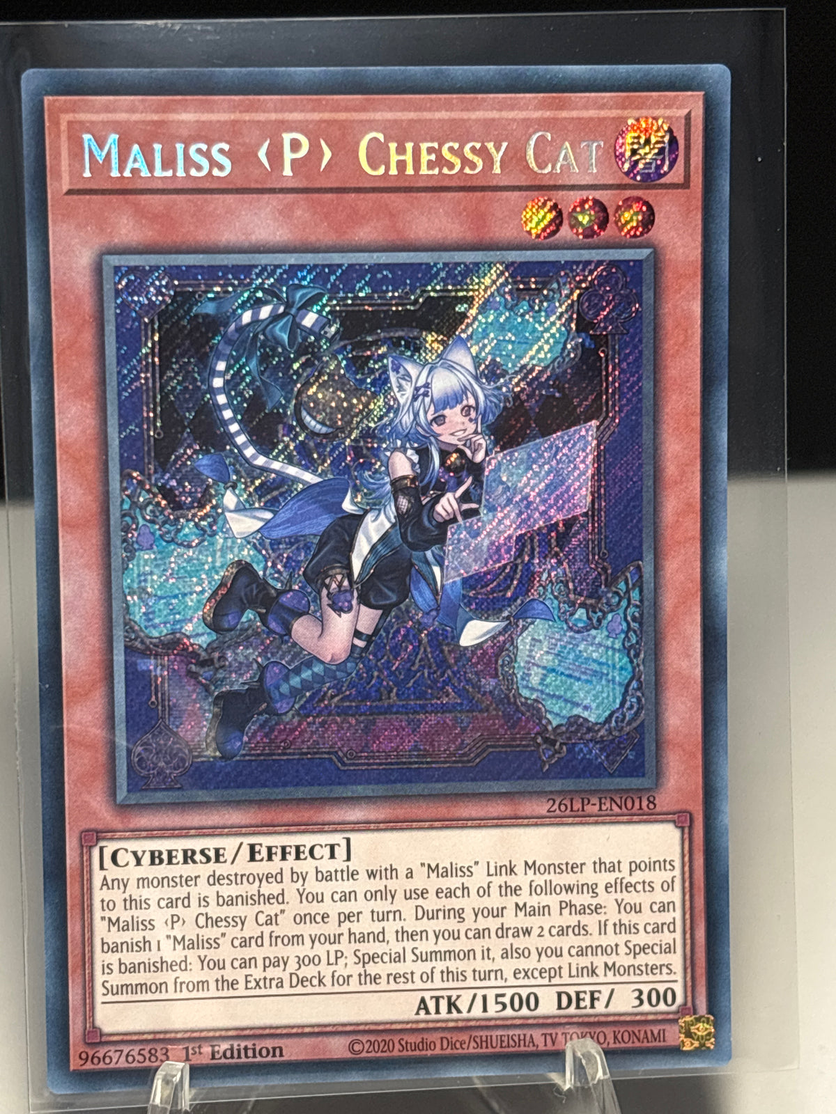 Mallis <P> Chessy Cat front view