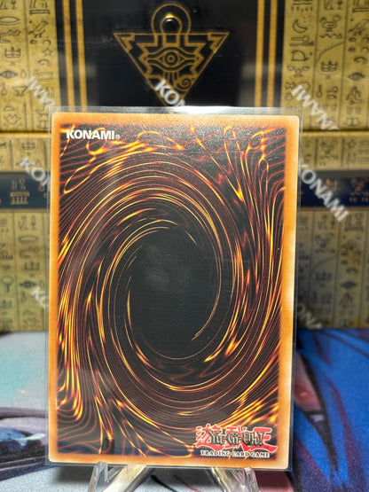 [CARD NAME] back view