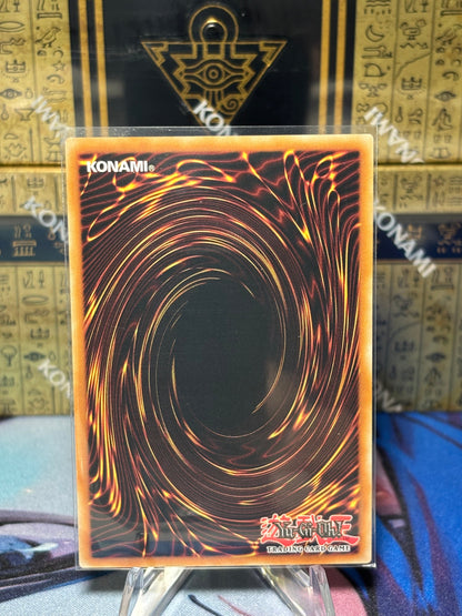 [CARD NAME] back view