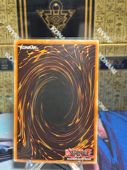 [CARD NAME] back view