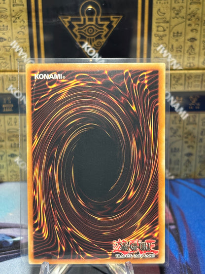 [CARD NAME] back view