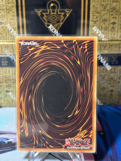 [CARD NAME] back view