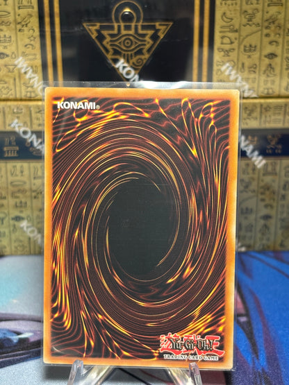 [CARD NAME] back view