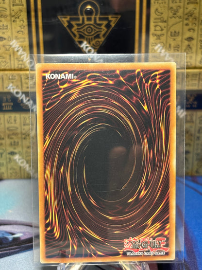 [CARD NAME] back view