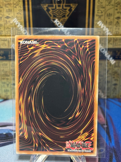 [CARD NAME] back view