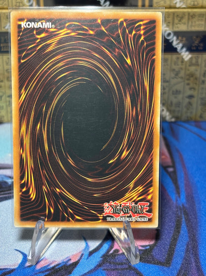 [CARD NAME] back view