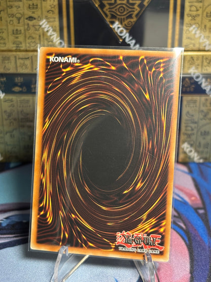 [CARD NAME] back view