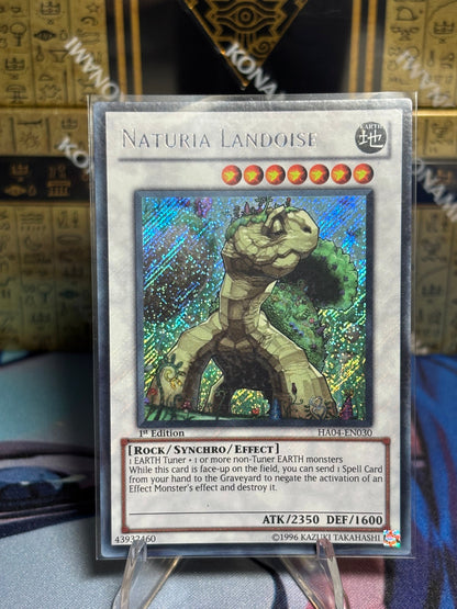 [CARD NAME] front view