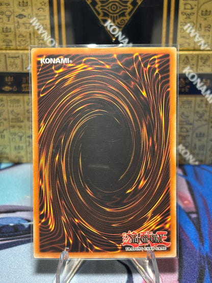 [CARD NAME] back view