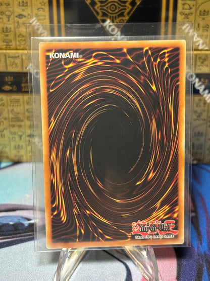 [CARD NAME] back view