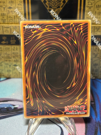 [CARD NAME] back view