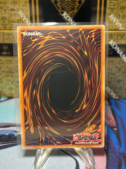 [CARD NAME] back view