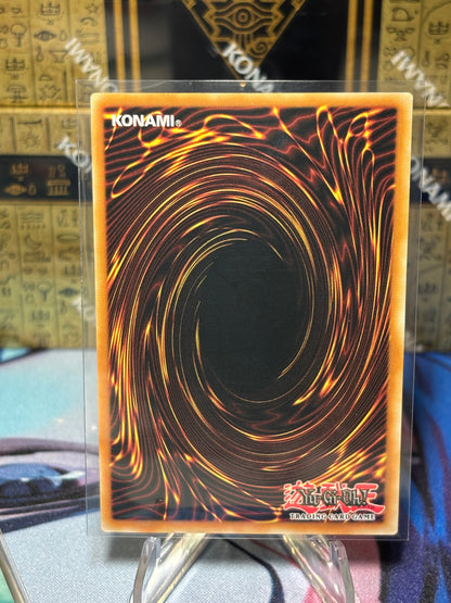 [CARD NAME] back view