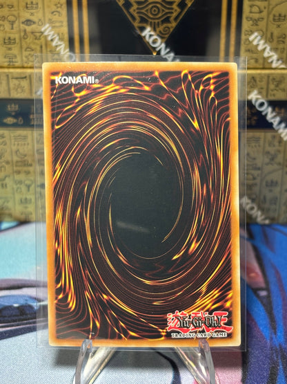 [CARD NAME] back view