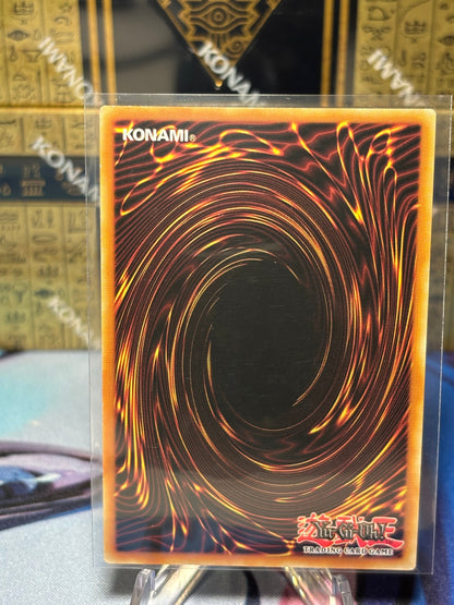 [CARD NAME] back view