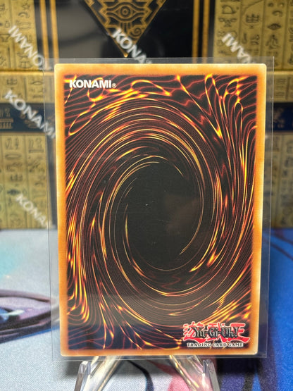 [CARD NAME] back view