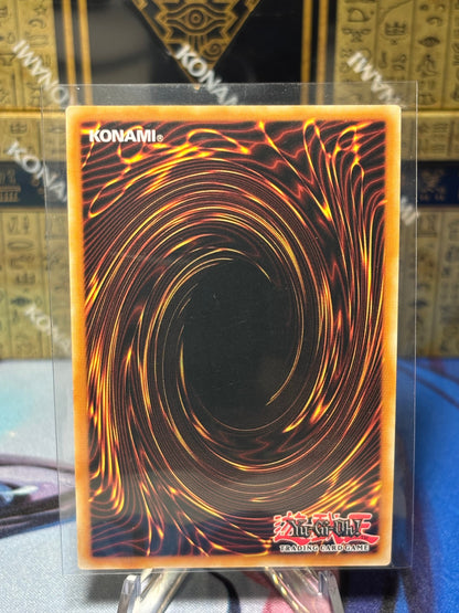 [CARD NAME] back view