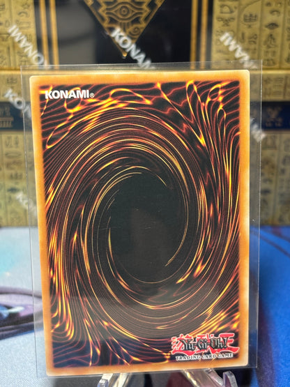 [CARD NAME] back view