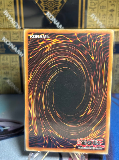 [CARD NAME] back view