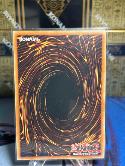 [CARD NAME] back view