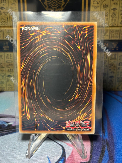 [CARD NAME] back view