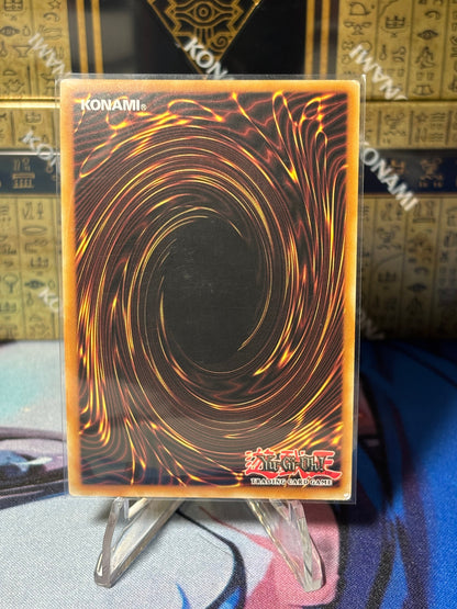 [CARD NAME] back view