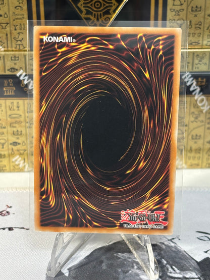 Dark Magician back view