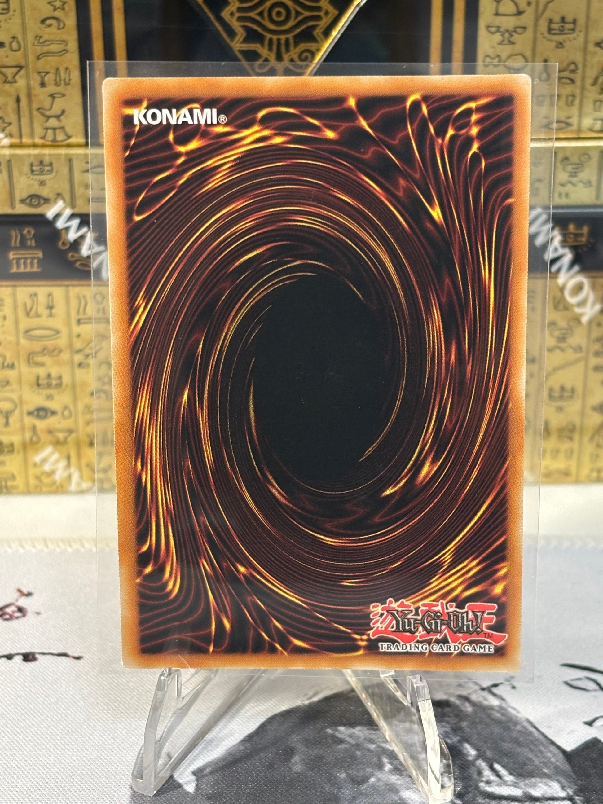 Dark Magician back view