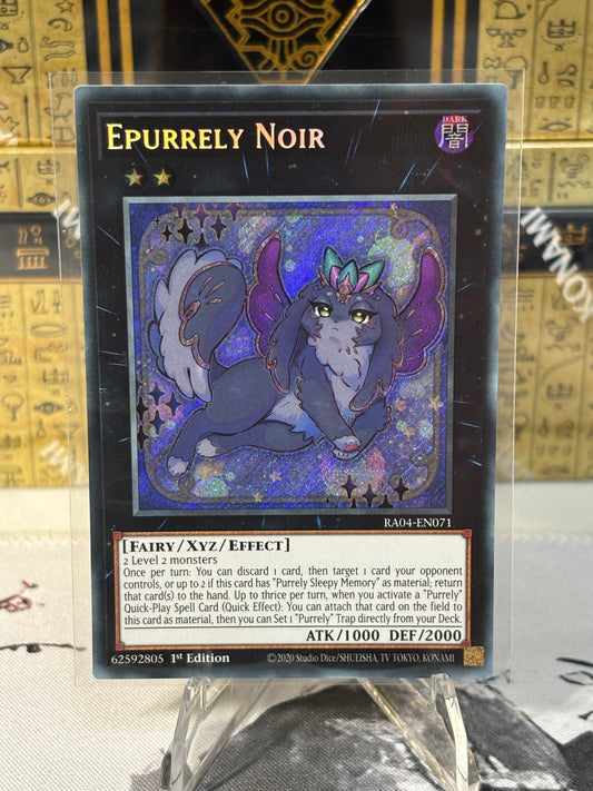 Purrely Noir front view