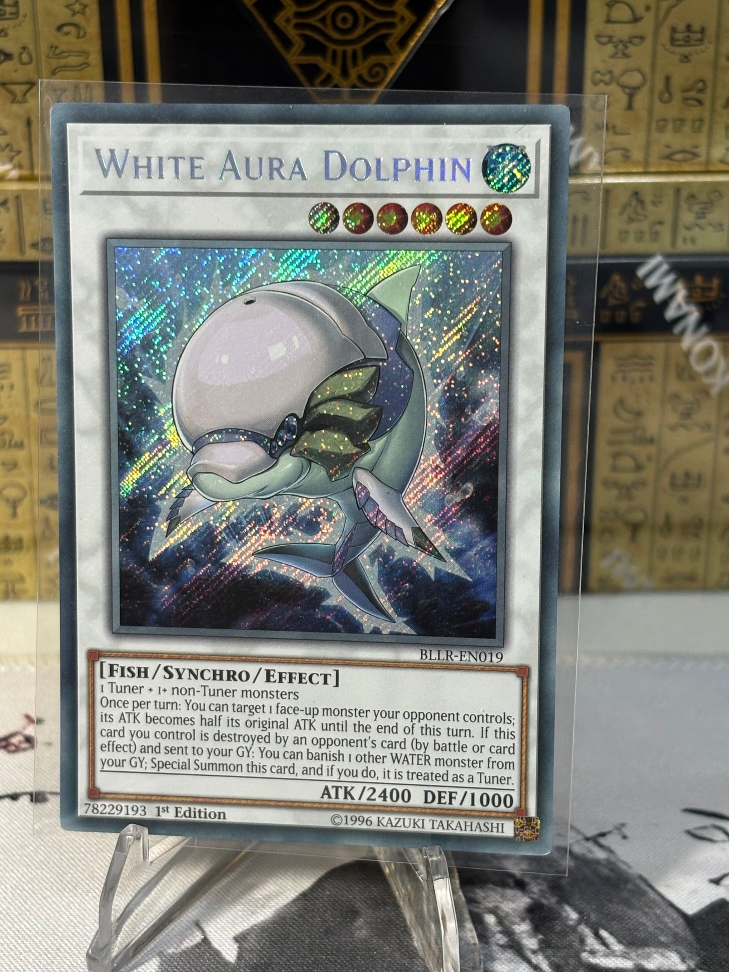 White Aura Dolphin front view