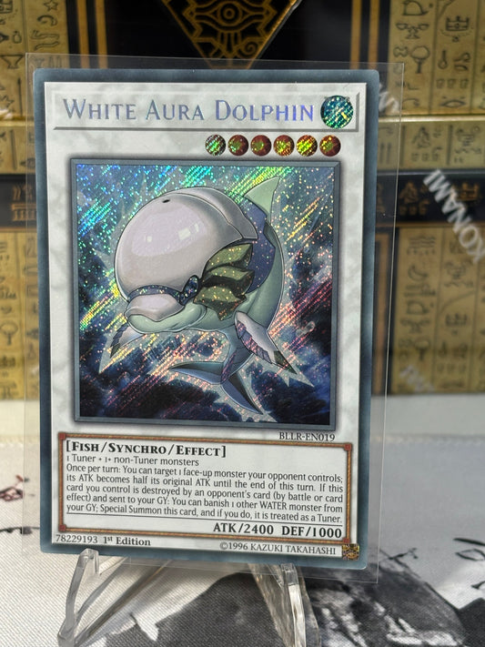 White Aura Dolphin front view