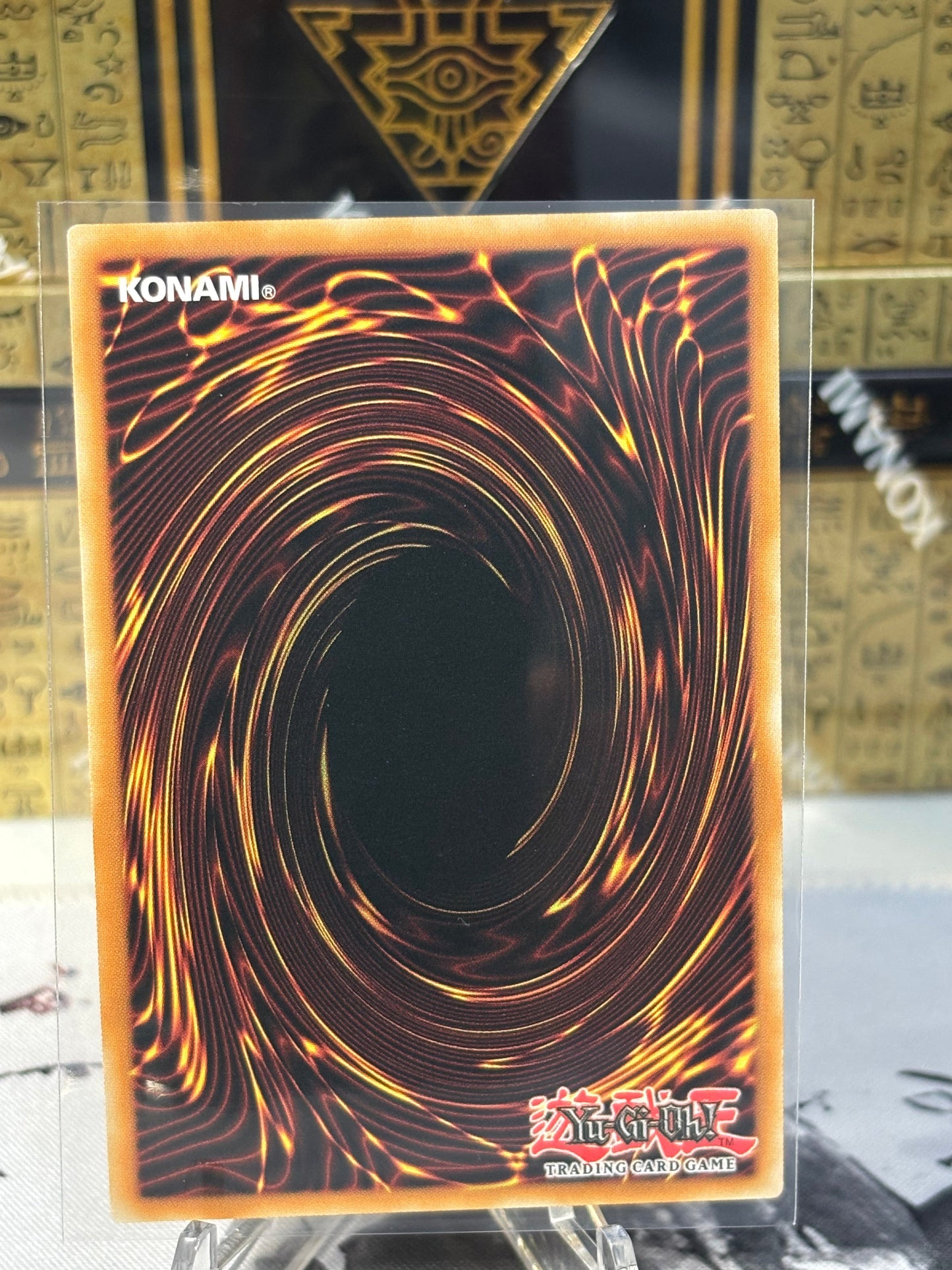 Kuribandit back view