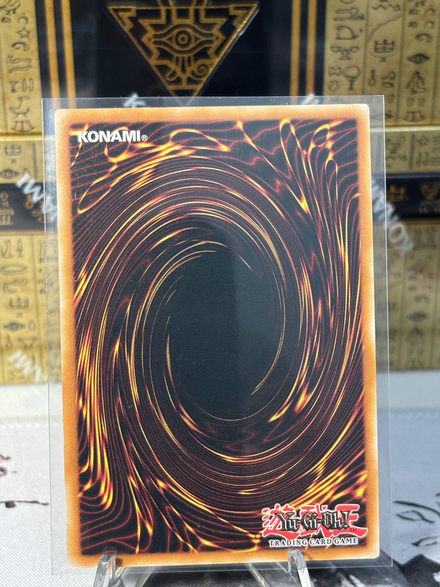 Blaze, Supreme Ruler of All Dragons back view