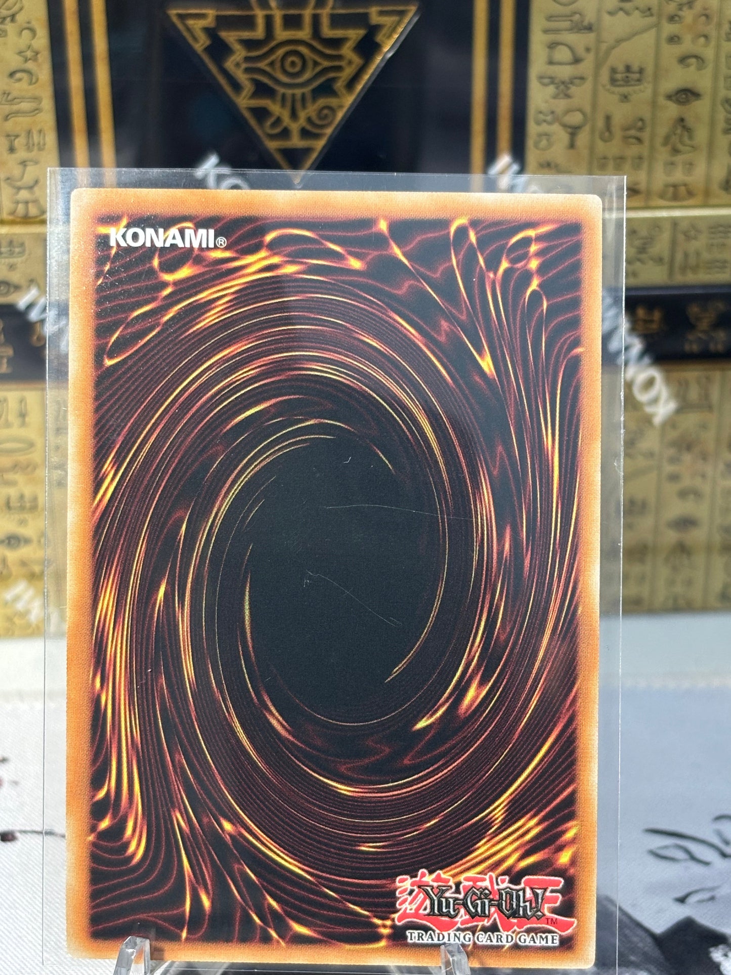 Beelze of the Diabolic Dragons back view