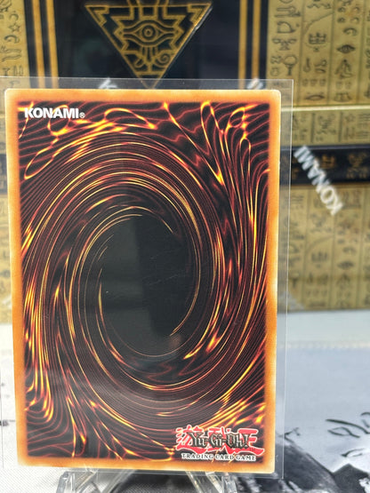 Trishula, Dragon of the Ice Barrier back view