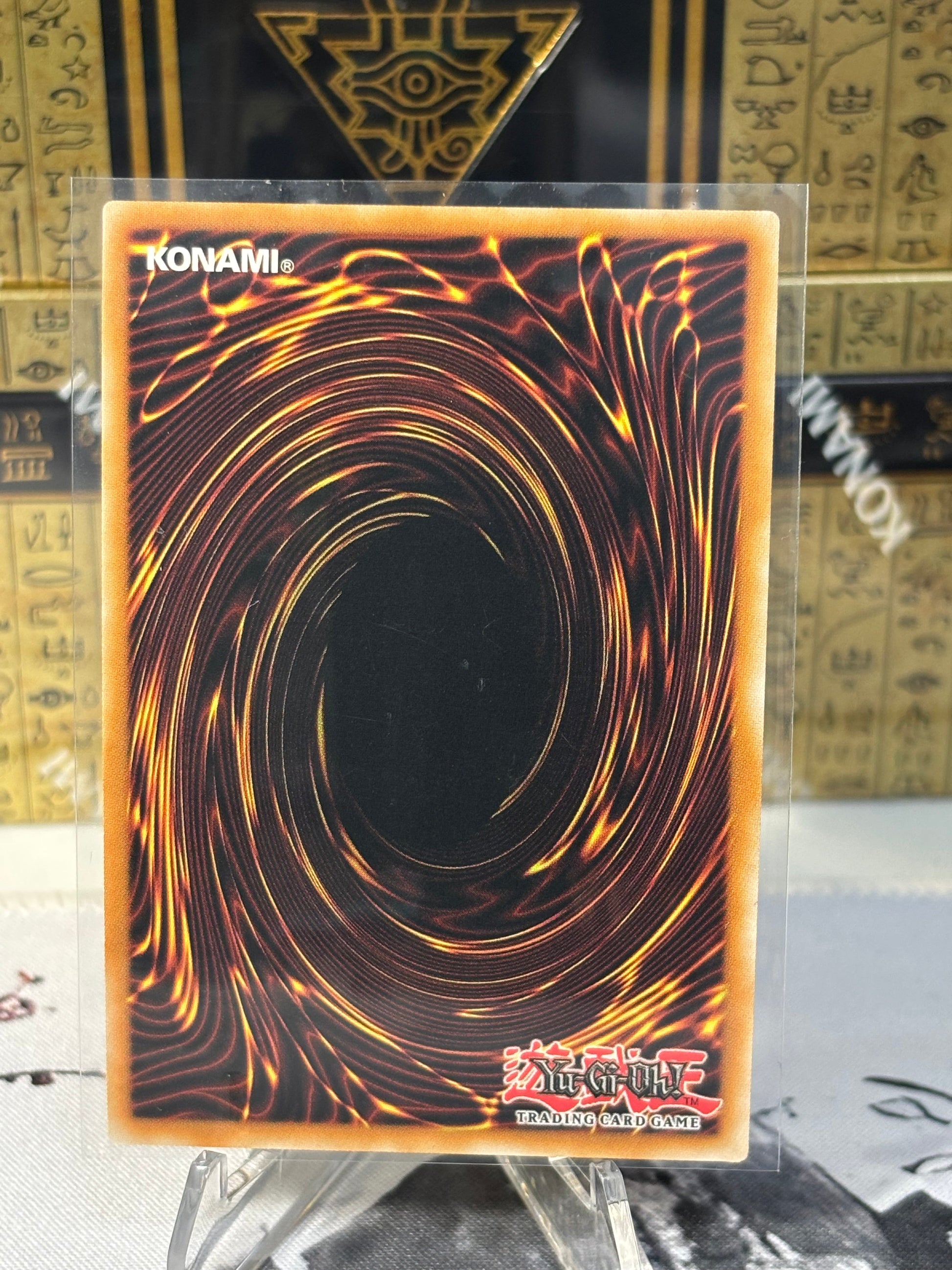 Formula Synchron back view