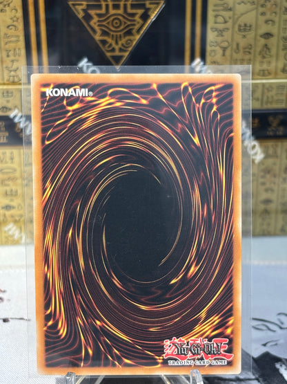 Crystron Phoenix back view