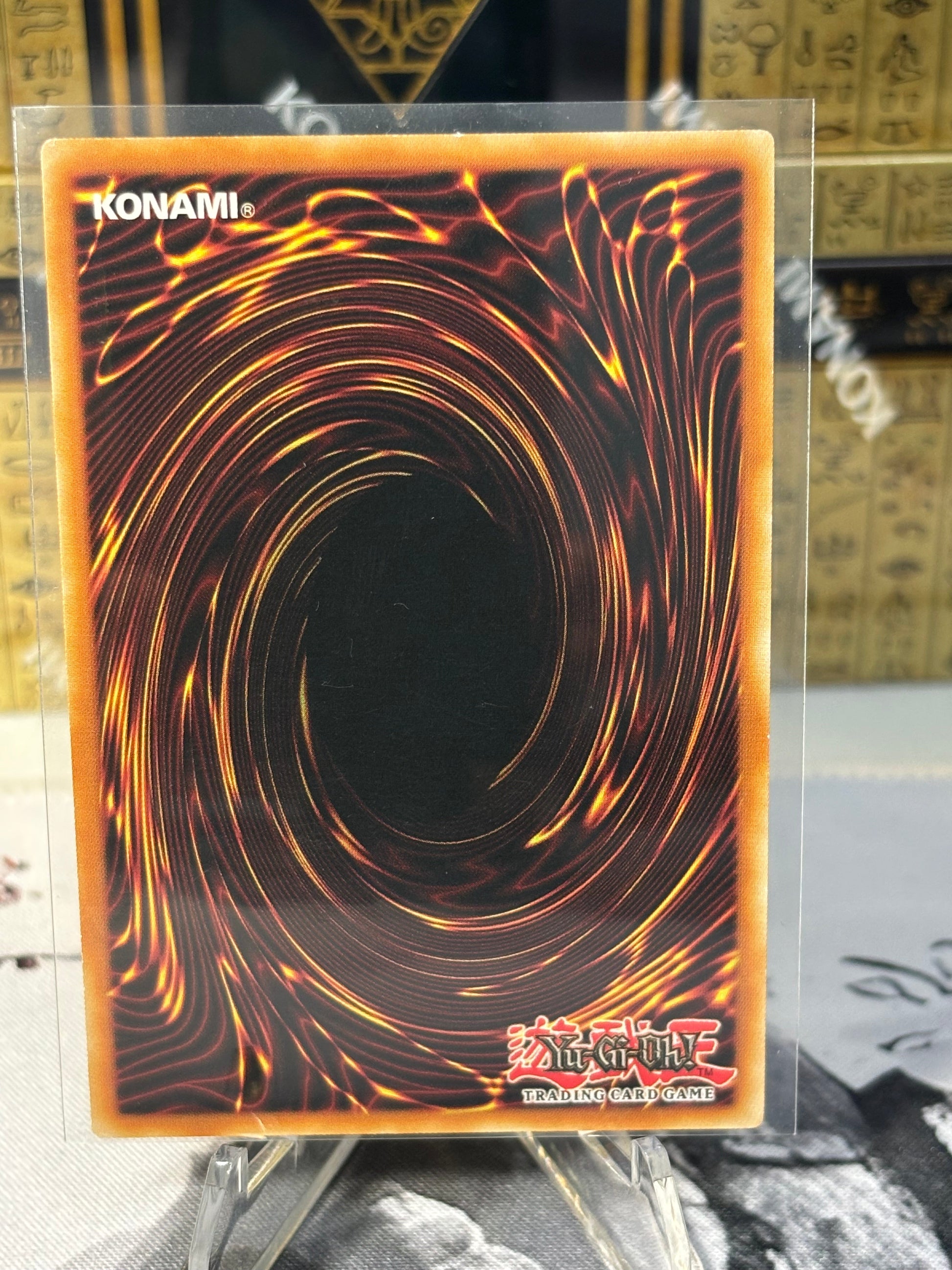 Sekka's Light back view