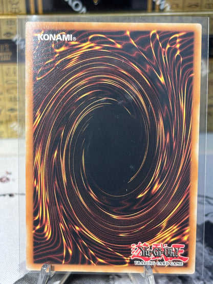 Harpie Channeler back view