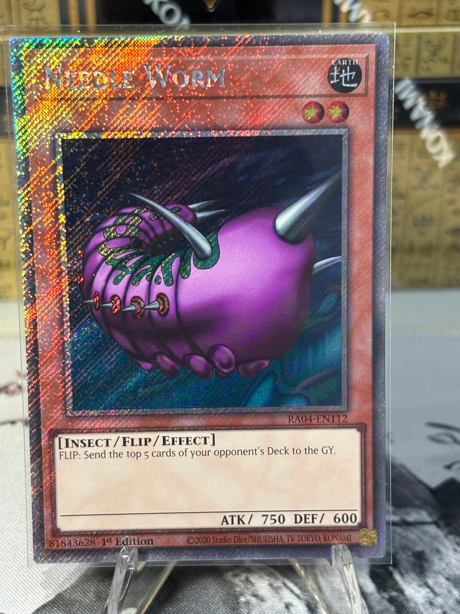 Needle Worm front view