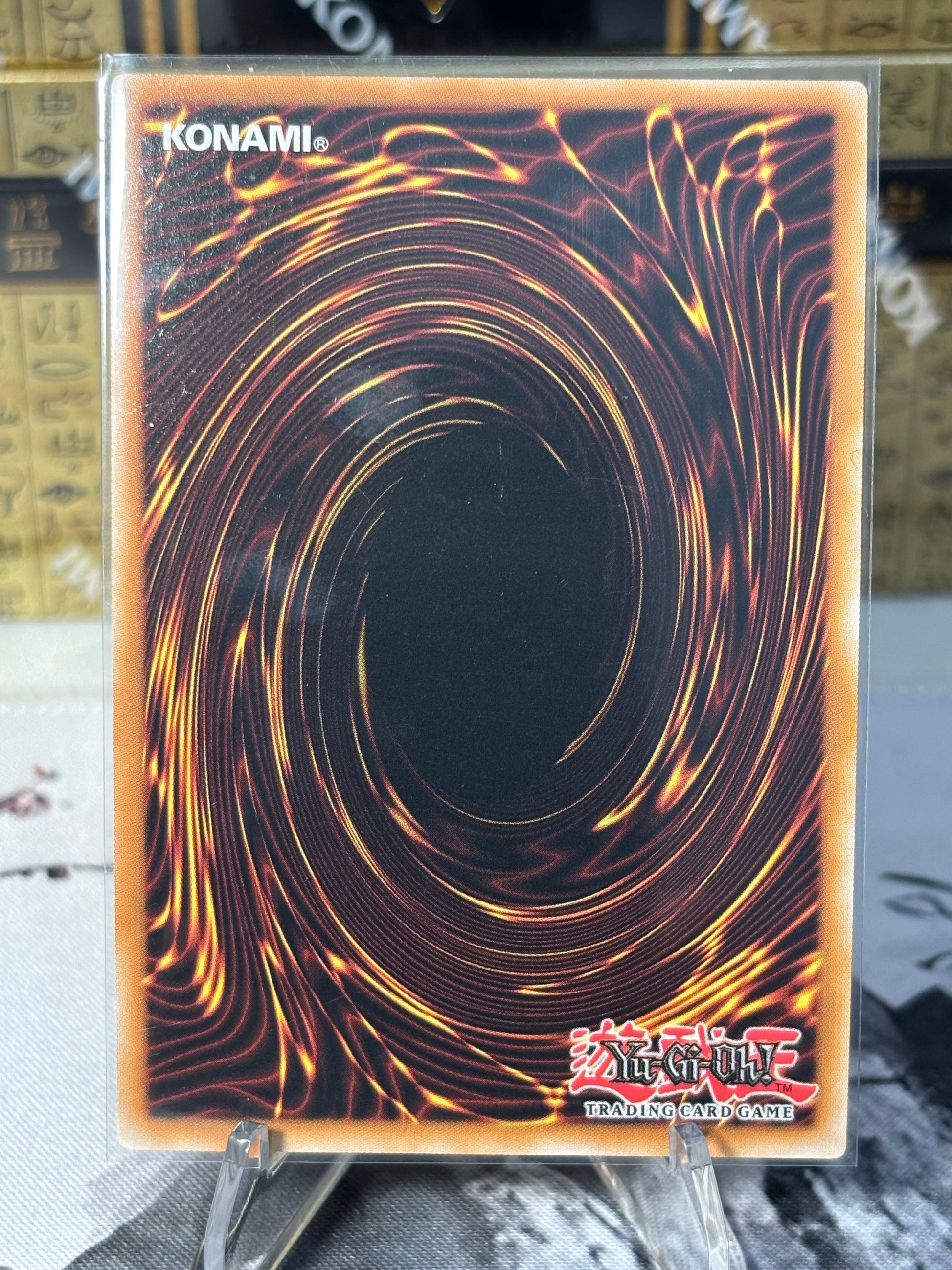 Needle Worm back view