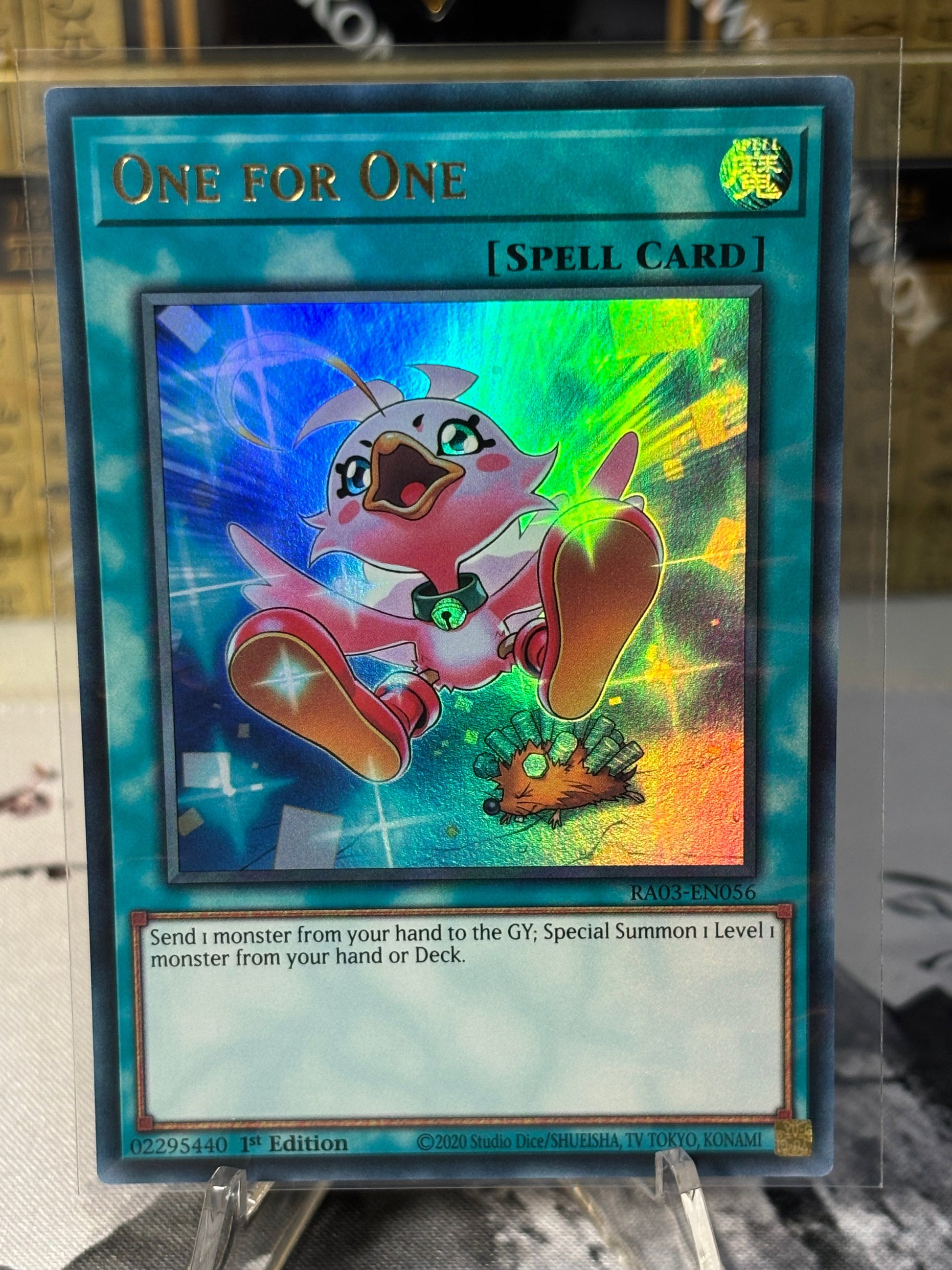 One for One front view