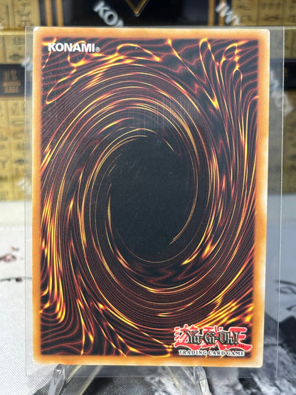 Red-Eyes Black Dragon back view