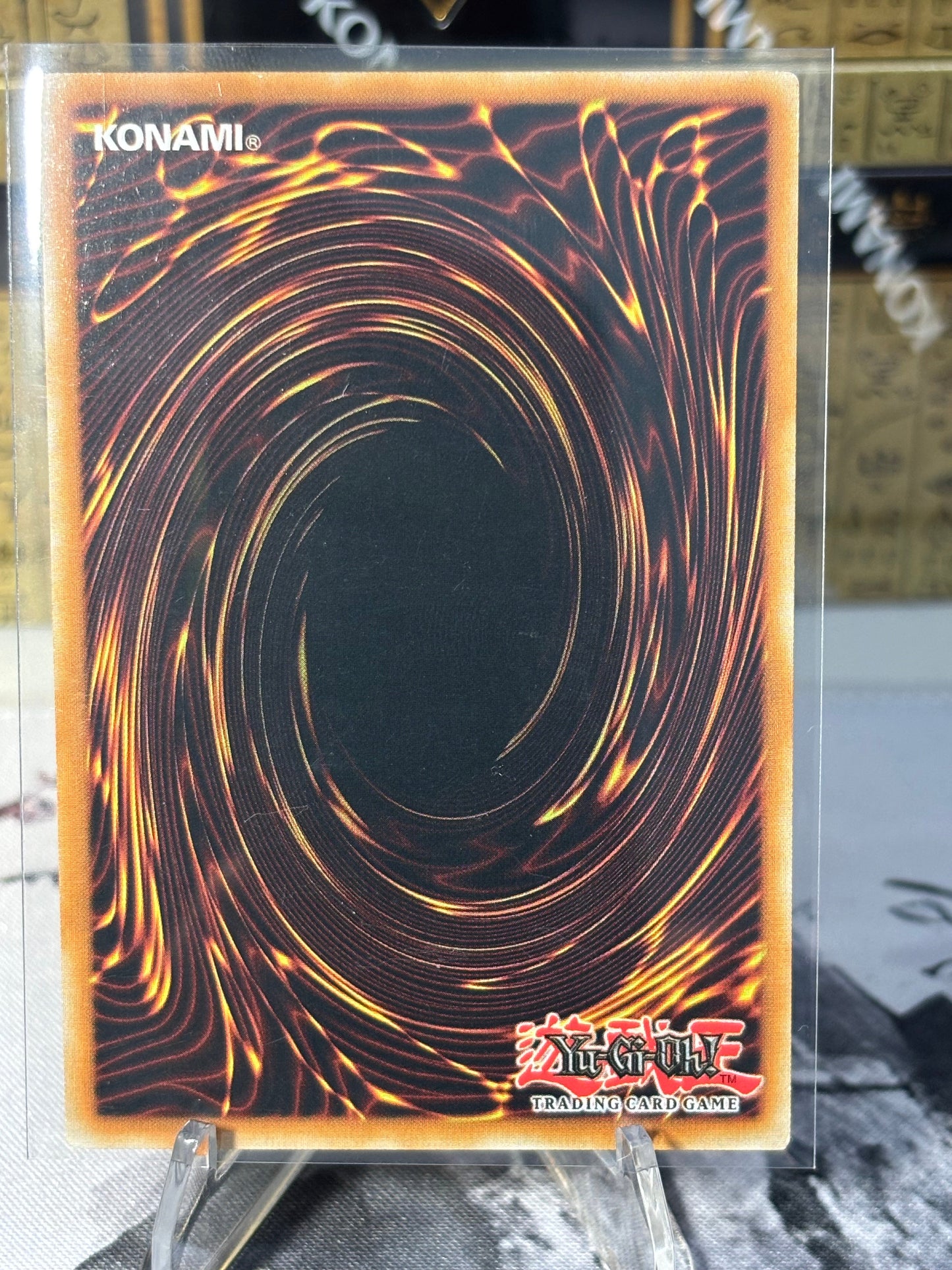 Black-Winged Assault Dragon back view